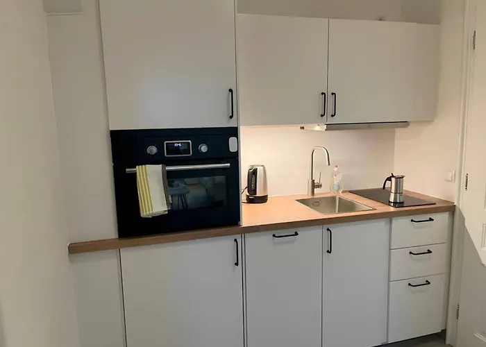 Cozy And Stylish Flat Close To Schoenbrunn Palace Vienna